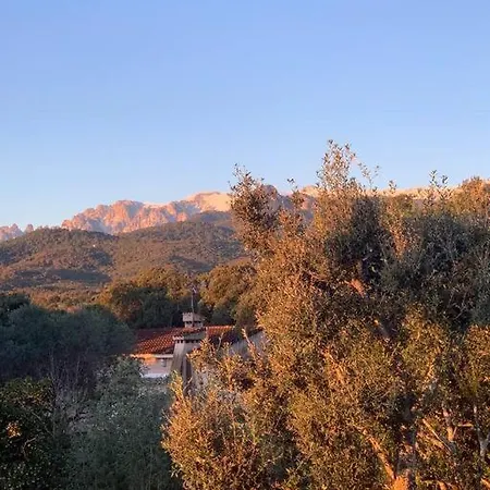 Les Pieds Dans L'eau *