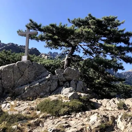 Les Pieds Dans L'eau *