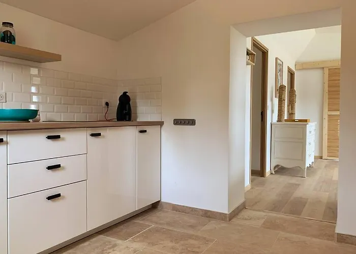 Les Pieds Dans L'eau 公寓 *