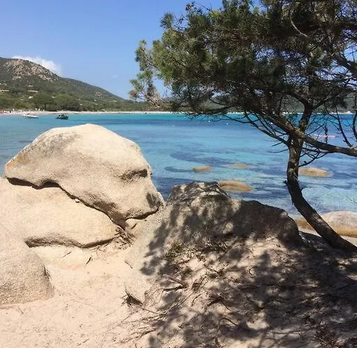 Les Pieds Dans L'eau 公寓