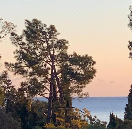 Les Pieds Dans L'eau 公寓 Solaro