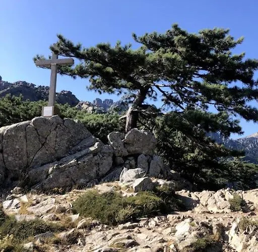 Les Pieds Dans L'eau *